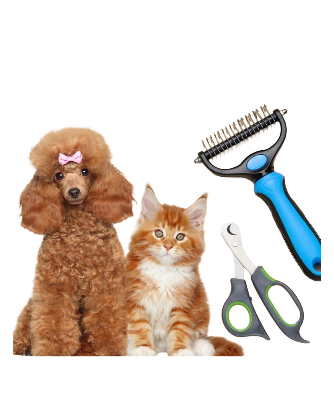 Grooming