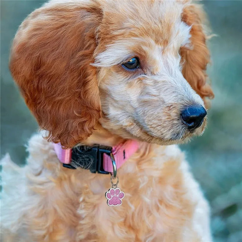 Engraved Puppy Pet ID Name Collar Tag